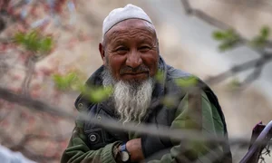 Hunting Apricot Blossoms: Vietnamese Travelers Discover the Magic of Indian Villages - image 4