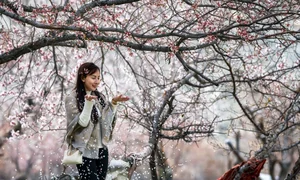 Hunting Apricot Blossoms: Vietnamese Travelers Discover the Magic of Indian Villages - image 5