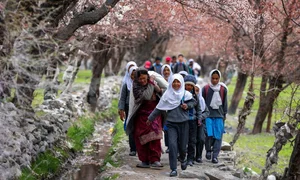 Hunting Apricot Blossoms: Vietnamese Travelers Discover the Magic of Indian Villages - image 2
