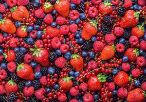 Natural Secrets to Prevent Premature Gray Hair with Vibrant Berries - image 0