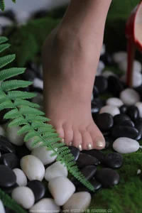 Enchanted Nature: Wan Ping Portrays the Wizard of Oz Aesthetic in IESS Series - image 75