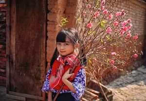 Celebrating Vietnamese Tet: A Guide to the Traditions, Colors, and Cultural Identity of the Lunar New Year in Vietnam - image 2