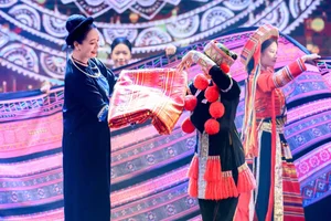 Supermodel Xuan Lan Celebrates Birthday with Heartwarming Family Portraits - image 2