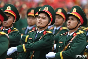 Commemorating History: The 70th Anniversary of Hai Phong Liberation Celebration - image 6