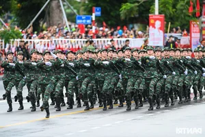 Commemorating History: The 70th Anniversary of Hai Phong Liberation Celebration - image 2