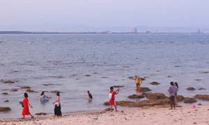 Golden Hour Magic: Capturing the Stunning Sunset over Hon Chua Island in Phu Yen, Vietnam - image 8