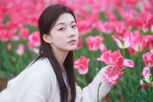 Exploring the Visual Narrative of YiTuYu Art Language Vol.4491 with Pei Tong Xue - image 27