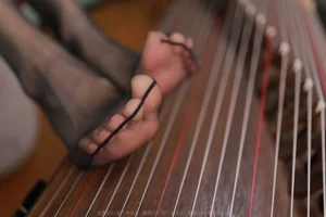 Traditional Elegance: IESS Special Featuring Xiao Liu in Red Dress with Guzheng - image 12
