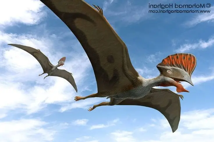 View: Tapejara - Bizarre Cretaceous Flying Reptile with Unique Giant Crest