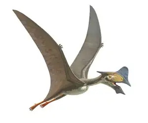 View: Tapejara - Bizarre Cretaceous Flying Reptile with Unique Giant Crest - image 2