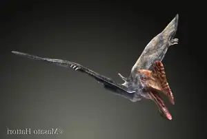 View: Tapejara - Bizarre Cretaceous Flying Reptile with Unique Giant Crest - image 6