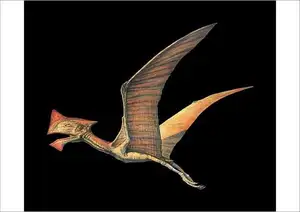 View: Tapejara - Bizarre Cretaceous Flying Reptile with Unique Giant Crest - image 3