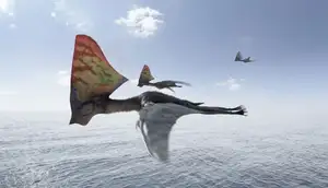 View: Tapejara - Bizarre Cretaceous Flying Reptile with Unique Giant Crest - image 7