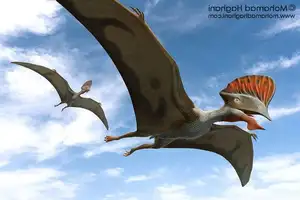 View: Tapejara - Bizarre Cretaceous Flying Reptile with Unique Giant Crest - image 0