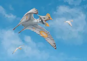 View: Tapejara - Bizarre Cretaceous Flying Reptile with Unique Giant Crest - image 5