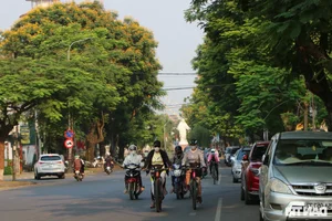 The Poetic Beauty of African Tulip and Yellow Flamboyant Trees in Hue - image 1