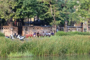 The Poetic Beauty of African Tulip and Yellow Flamboyant Trees in Hue - image 4