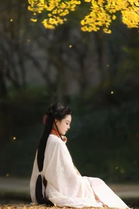 YiTuYu Art Language Vol.6437: The Artistry of Nu Li Hua Zhuang De Sui Sui - image 10