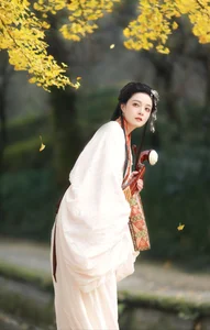 YiTuYu Art Language Vol.6437: The Artistry of Nu Li Hua Zhuang De Sui Sui - image 11