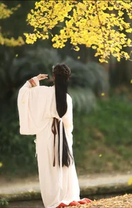 YiTuYu Art Language Vol.6437: The Artistry of Nu Li Hua Zhuang De Sui Sui - image 7