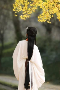 YiTuYu Art Language Vol.6437: The Artistry of Nu Li Hua Zhuang De Sui Sui - image 2