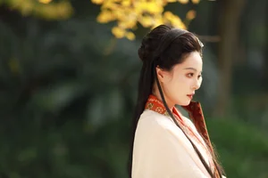 YiTuYu Art Language Vol.6437: The Artistry of Nu Li Hua Zhuang De Sui Sui - image 17