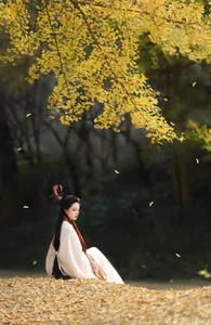 YiTuYu Art Language Vol.6437: The Artistry of Nu Li Hua Zhuang De Sui Sui - image 1