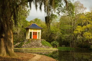 10 Most Fragrant Destinations Around the World for a Sensory Escape - image 1