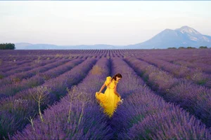 10 Most Fragrant Destinations Around the World for a Sensory Escape - image 0