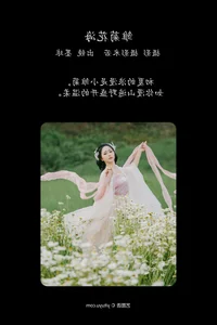 Aesthetic Visuals in YiTuYu Art Language Vol.4383 Qian Mo Hong Chen - image 22