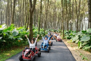 Dong Chuong Lake Pine Hill: Ninh Binh's Green Hidden Gem - image 4