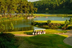 Dong Chuong Lake Pine Hill: Ninh Binh's Green Hidden Gem - image 6
