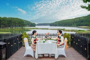 Dong Chuong Lake Pine Hill: Ninh Binh's Green Hidden Gem - image 2