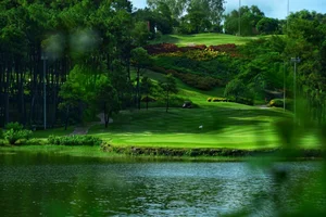 Dong Chuong Lake Pine Hill: Ninh Binh's Green Hidden Gem - image 7