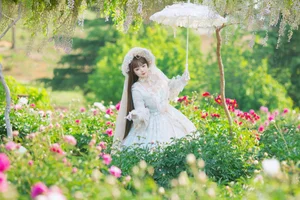 YiTuYu Art Language Vol.10465: An Extensive 67-Photo Gallery Featuring Liu Liu - image 1