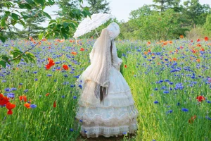 YiTuYu Art Language Vol.10465: An Extensive 67-Photo Gallery Featuring Liu Liu - image 12