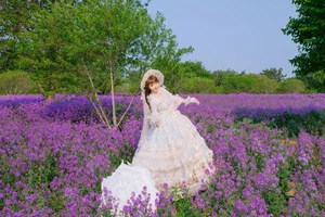 YiTuYu Art Language Vol.10465: An Extensive 67-Photo Gallery Featuring Liu Liu - image 2