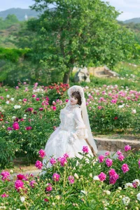 YiTuYu Art Language Vol.10465: An Extensive 67-Photo Gallery Featuring Liu Liu - image 58
