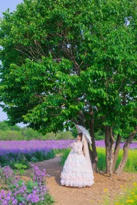 YiTuYu Art Language Vol.10465: An Extensive 67-Photo Gallery Featuring Liu Liu - image 49