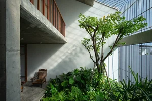 The Power of Natural Light: Why It Defines High-Quality Residential Architecture - image 2