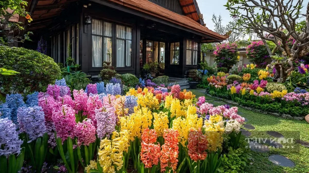4 Stunning Indoor Plants That Multiply Quickly for a Lush Home Garden