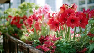 4 Stunning Indoor Plants That Multiply Quickly for a Lush Home Garden - image 4
