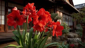 4 Stunning Indoor Plants That Multiply Quickly for a Lush Home Garden - image 7
