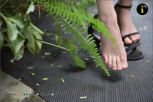 Elegant Barefoot Photography Collection Featuring Model Qiqi - IESS 003 Gallery - image 4