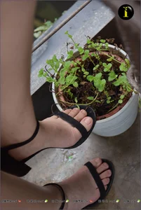 Elegant Barefoot Photography Collection Featuring Model Qiqi - IESS 003 Gallery - image 20