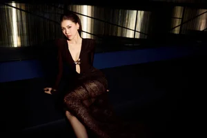 Miss Universe Vietnam Bui Quynh Hoa Shines in Daring Sheer Fashion and Elegant Evening Gowns - image 1