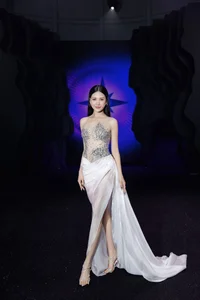Miss Universe Vietnam Bui Quynh Hoa Shines in Daring Sheer Fashion and Elegant Evening Gowns - image 9