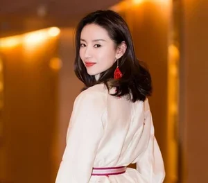 The Rise and Public Perception of Dong Jie: From Ethereal Beauty to Controversial Icon - image 4
