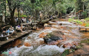 Romantic Da Lat: Capturing the Timeless Beauty of Vietnam's Misty Highland City - image 0