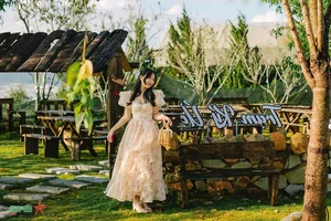 Romantic Da Lat: Capturing the Timeless Beauty of Vietnam's Misty Highland City - image 1